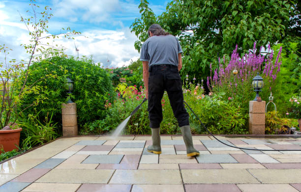 Best Patio and Deck Pressure Washing  in Rapids, NY