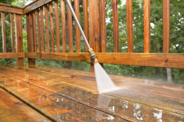 Best House Exterior Washing  in Rapids, NY